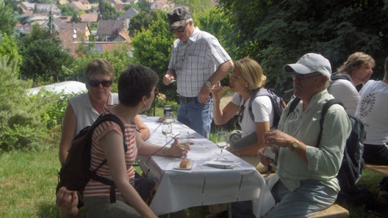 Marche Blotzheim 2011 – étape no 1